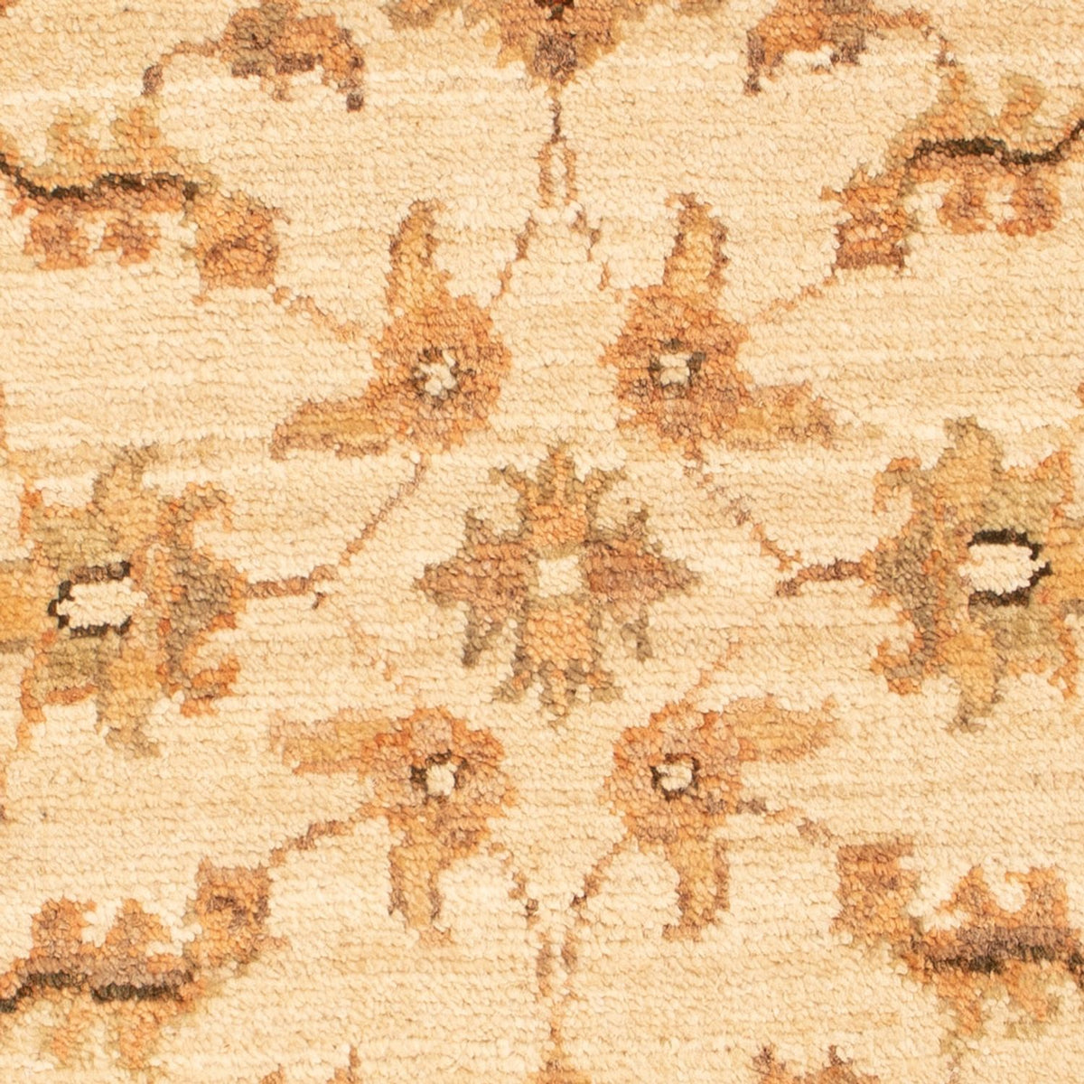 Ziegler tapijt - 70 x 50 cm - beige
