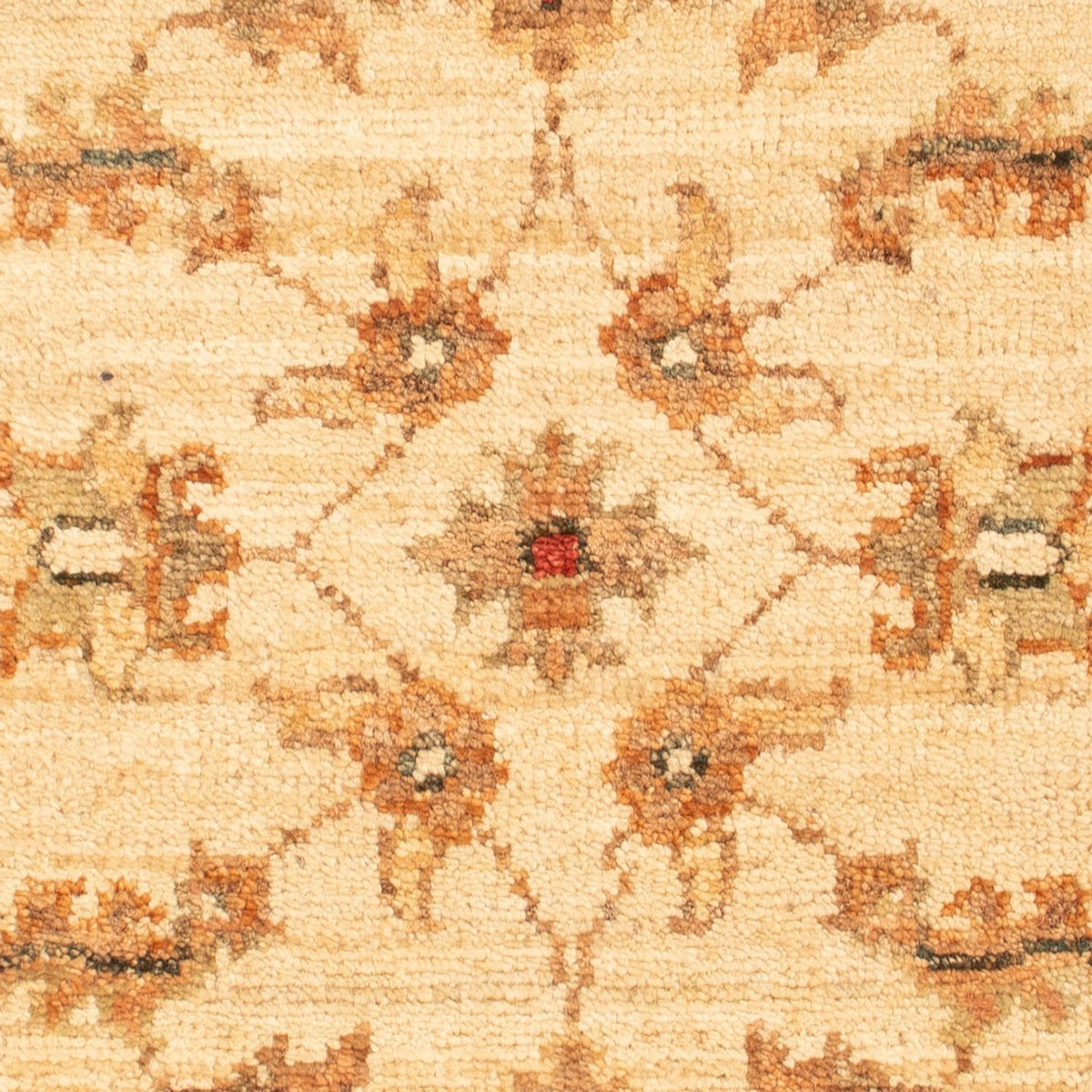 Ziegler tapijt - 67 x 50 cm - beige