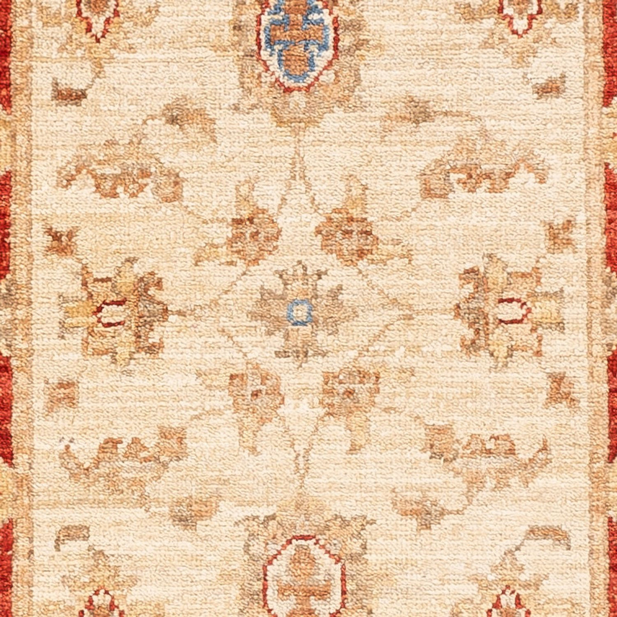 Loper Ziegler tapijt - 152 x 50 cm - beige