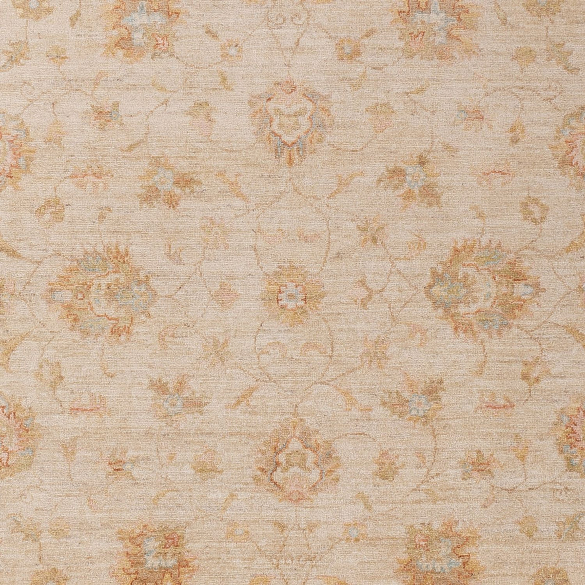 Ziegler tapijt - 293 x 204 cm - beige