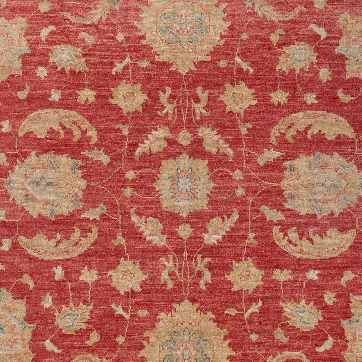 Ziegler tapijt - 297 x 202 cm - rood