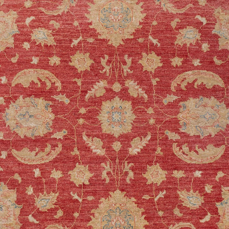Ziegler tapijt - 297 x 202 cm - rood