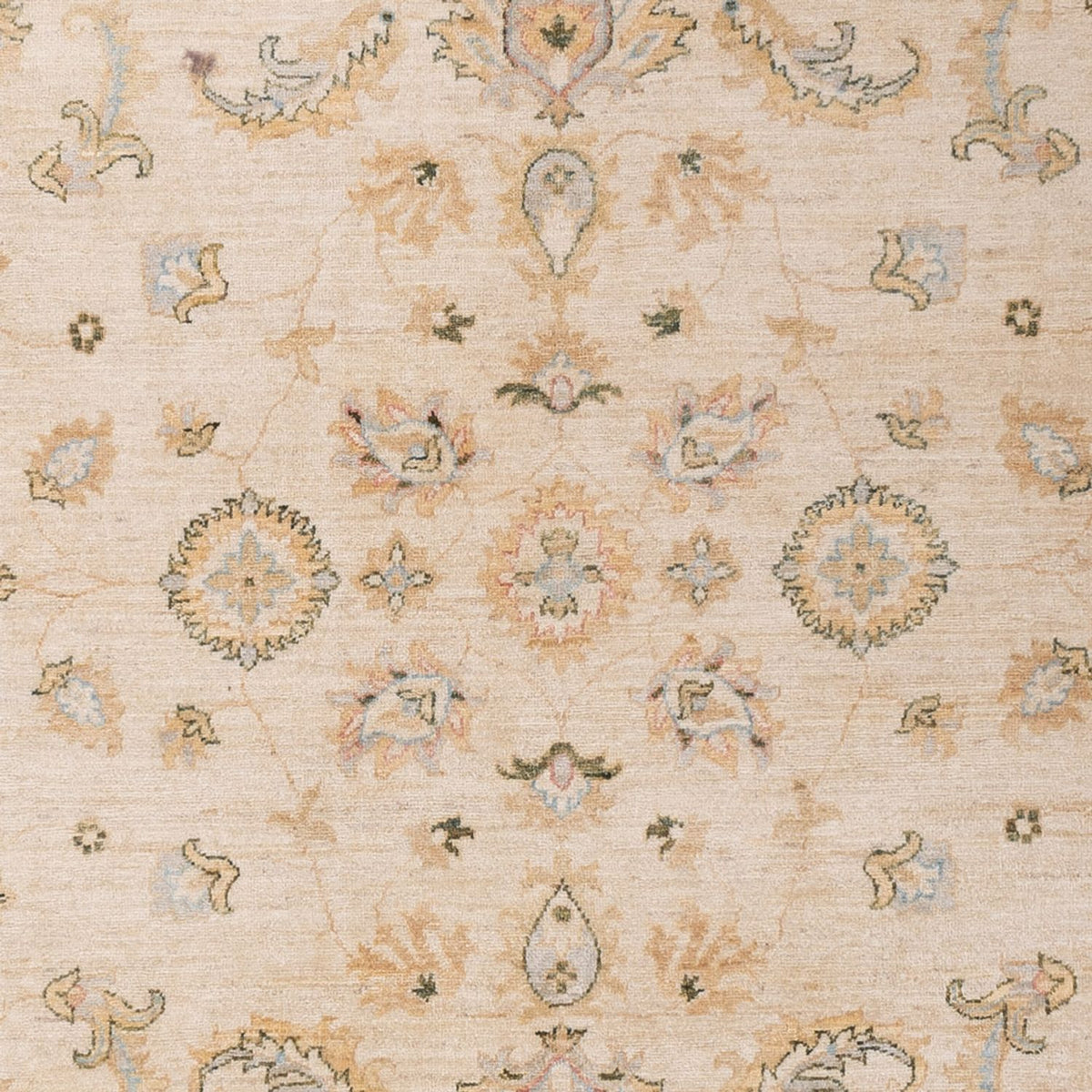 Ziegler tapijt - 304 x 204 cm - beige
