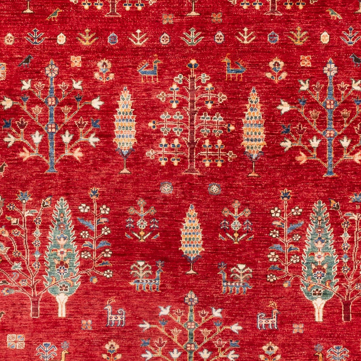 Ziegler Tapijt - Ariana - 300 x 206 cm - rood