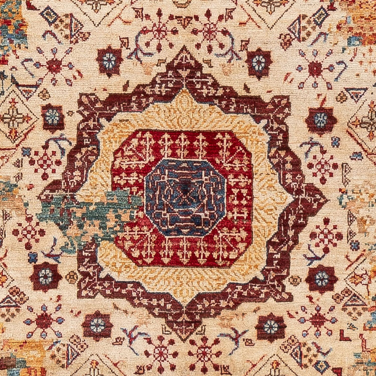 Designer tapijt - 200 x 155 cm - veelkleurig