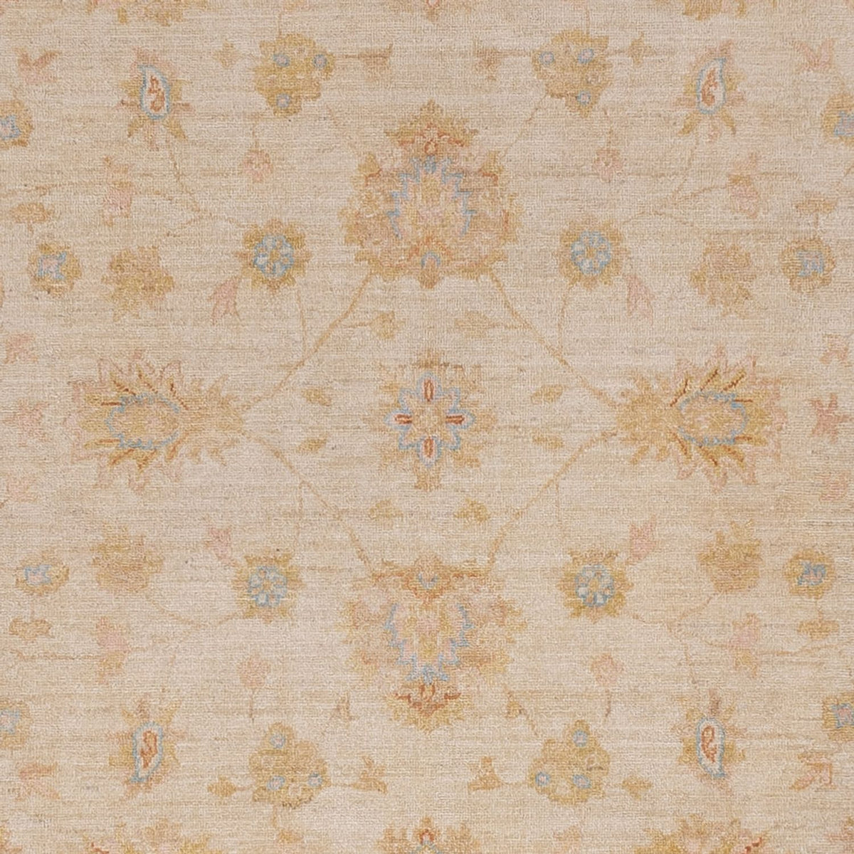 Ziegler tapijt - 297 x 257 cm - beige