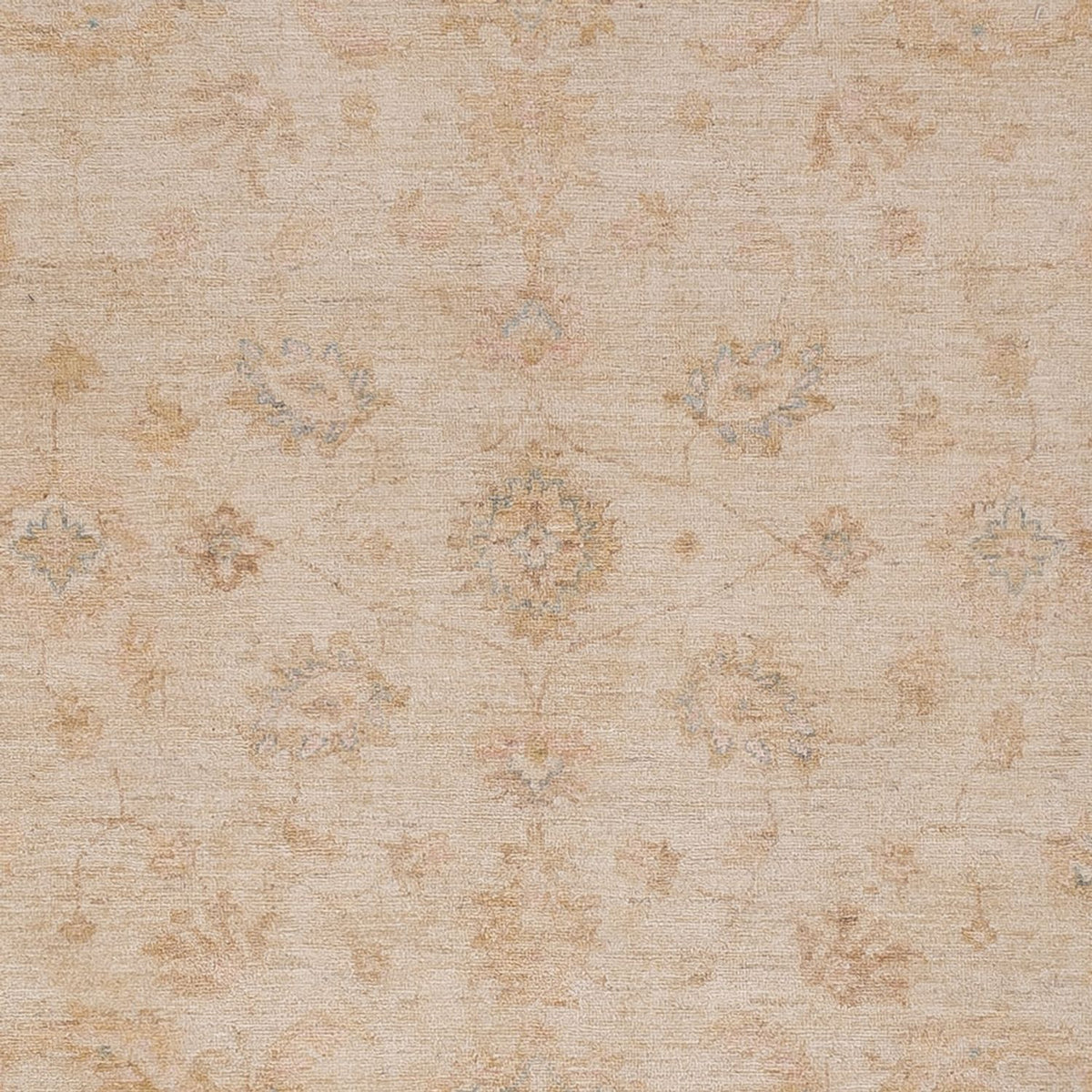 Ziegler tapijt - 298 x 250 cm - beige