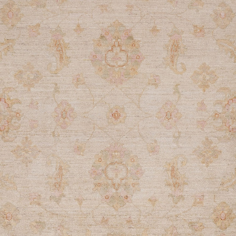 Ziegler tapijt - 298 x 255 cm - beige