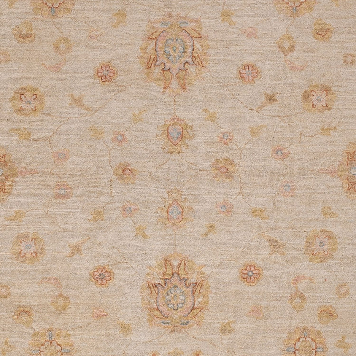 Ziegler tapijt - 291 x 250 cm - beige