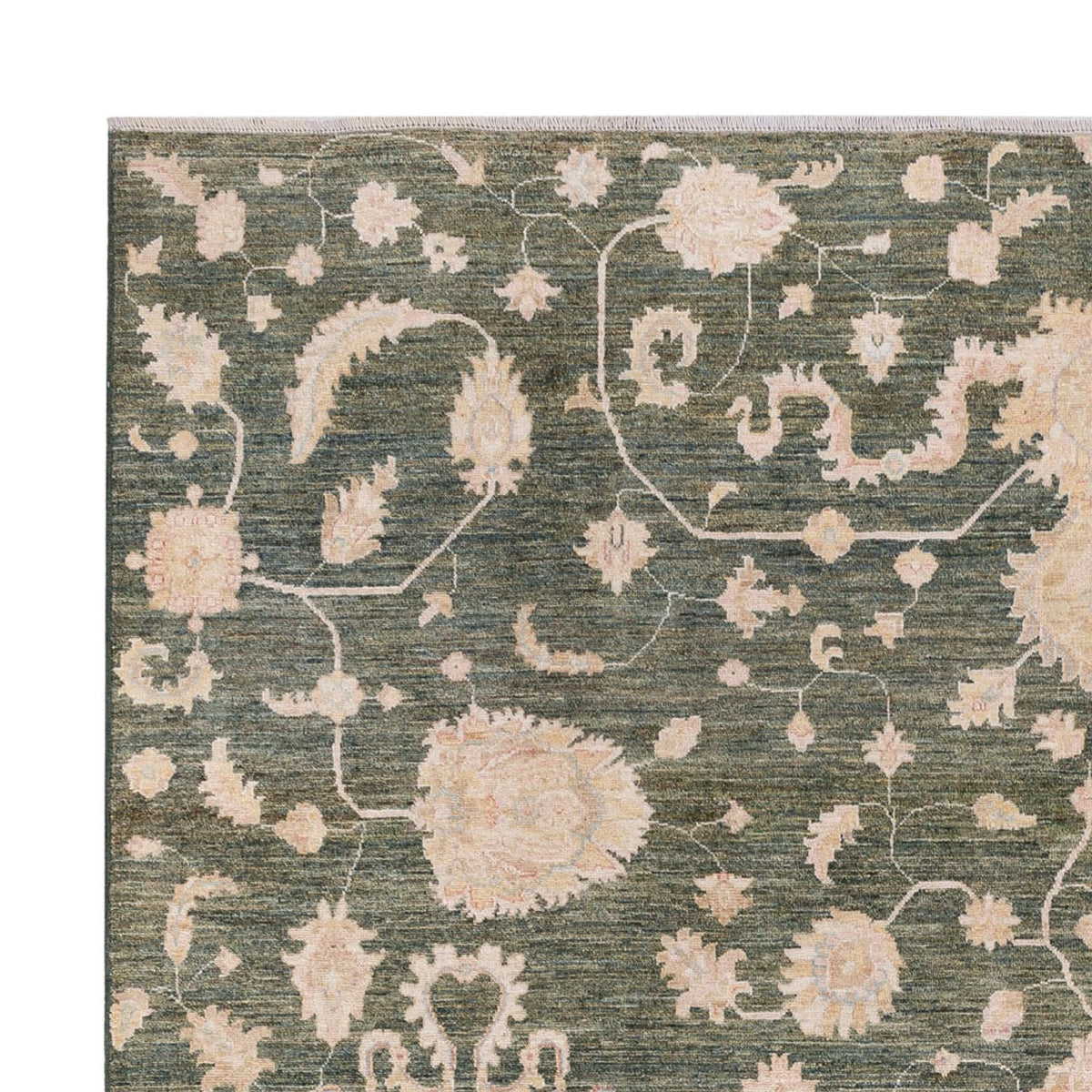 Ziegler tapijt - Modern - 308 x 251 cm - groen