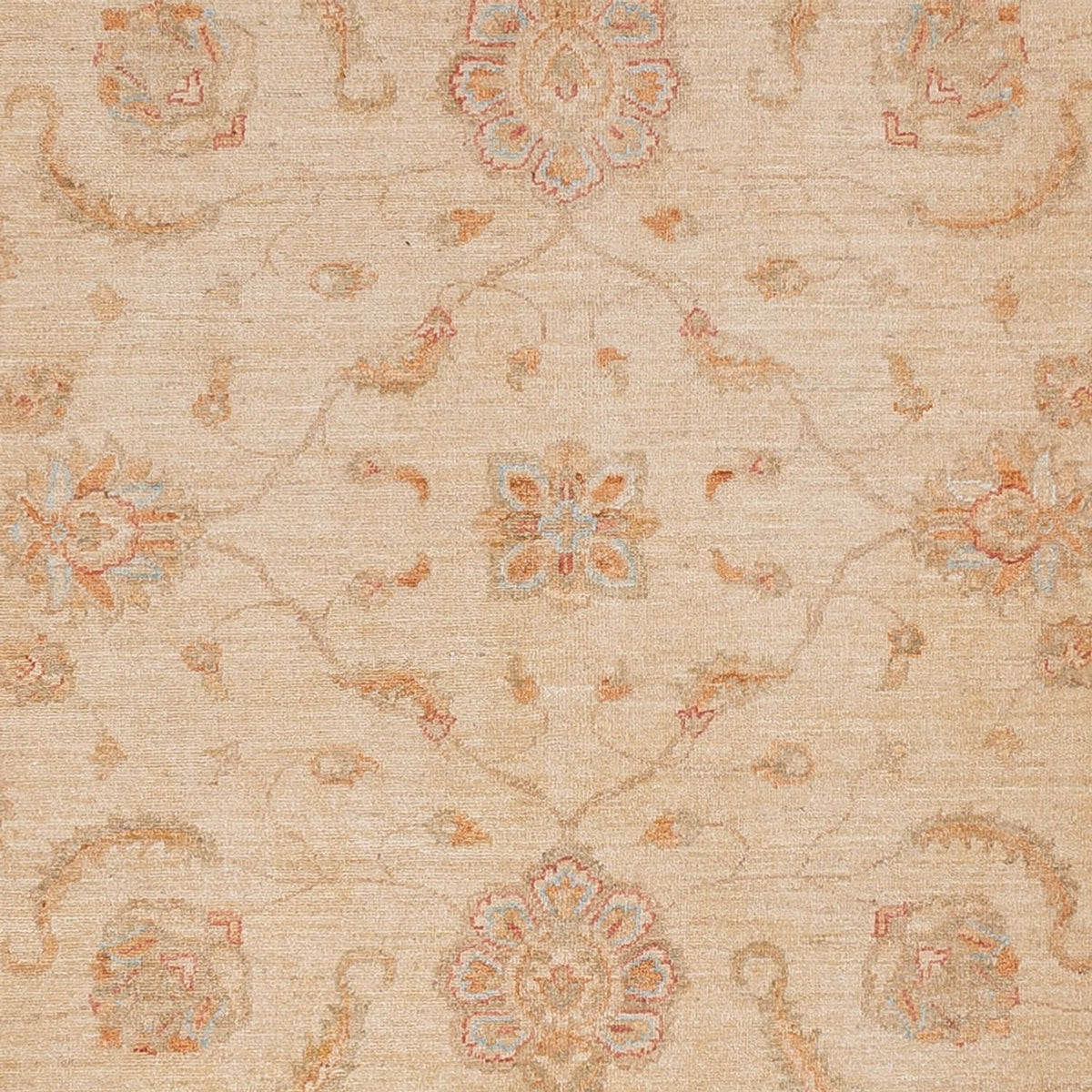 Ziegler tapijt - 295 x 258 cm - beige