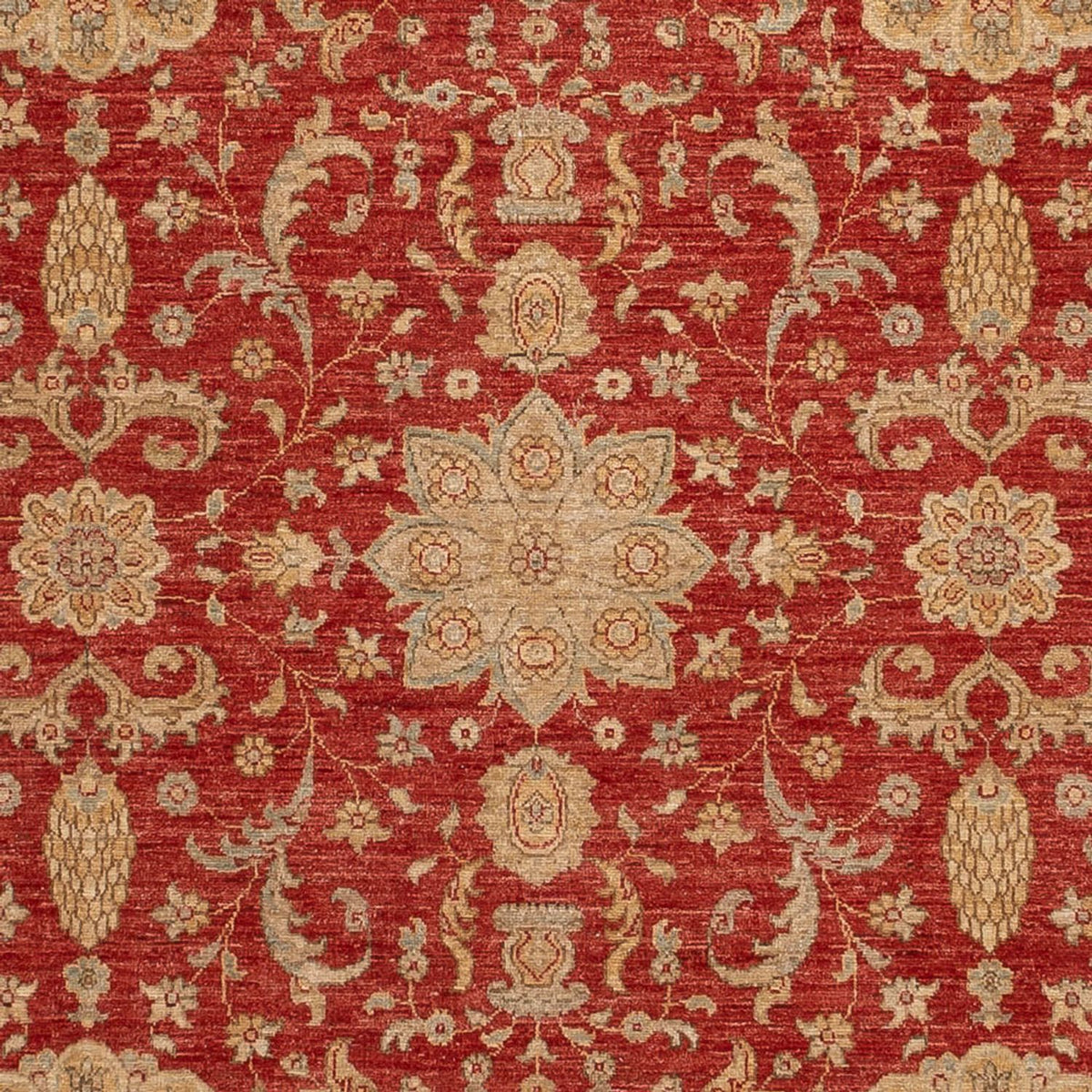 Ziegler Tapijt - Ariana - 304 x 245 cm - rood