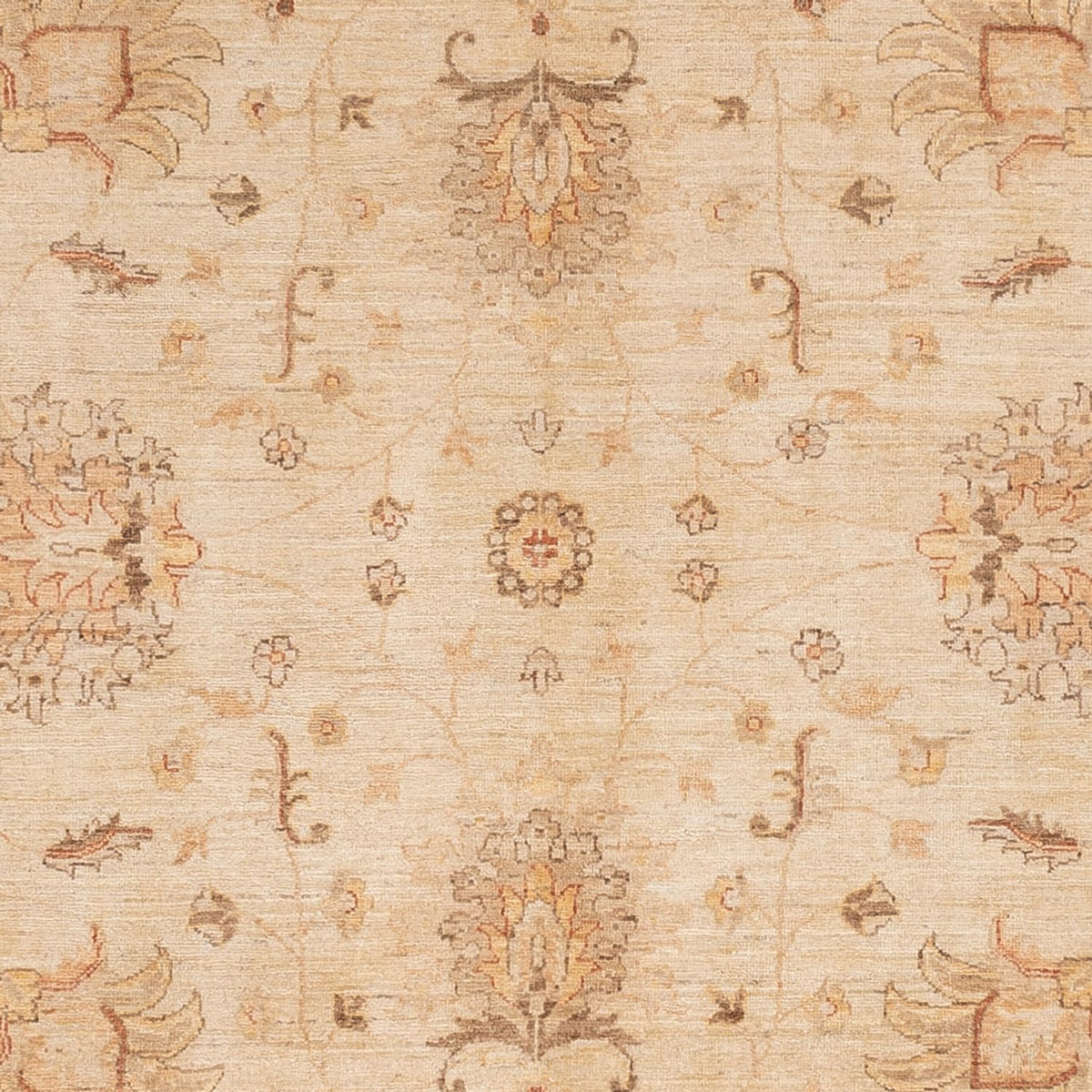 Ziegler tapijt - 298 x 241 cm - beige