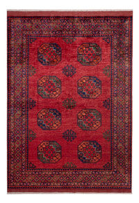 Afghaans tapijt - Kunduz - 243 x 177 cm - rood