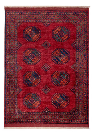 Afghaans tapijt - Kunduz - 243 x 177 cm - rood