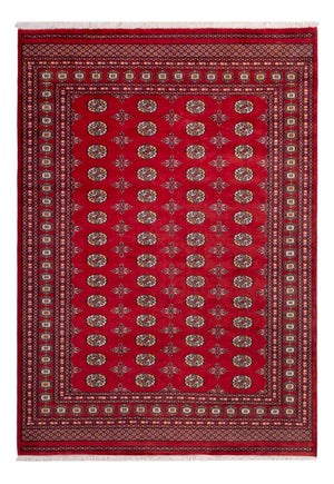 Afghaans tapijt - Bukhara - 292 x 206 cm - rood