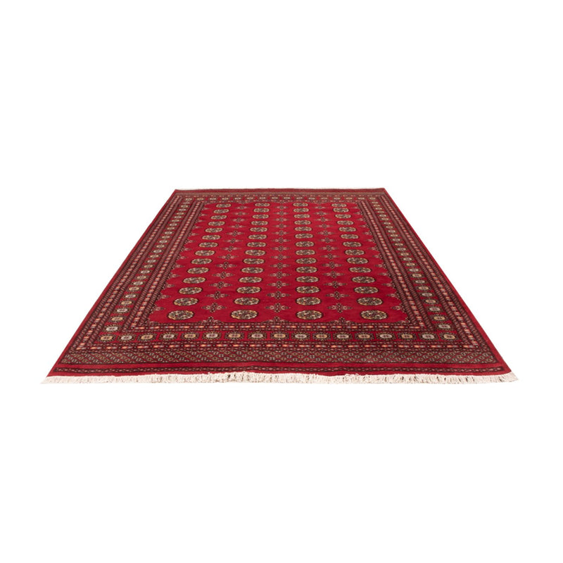 Afghaans tapijt - Bukhara - 292 x 206 cm - rood