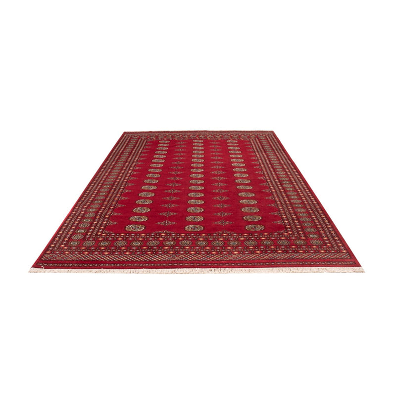 Afghaans tapijt - Bukhara - 307 x 201 cm - rood