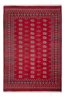 Afghaans tapijt - Bukhara - 300 x 201 cm - rood
