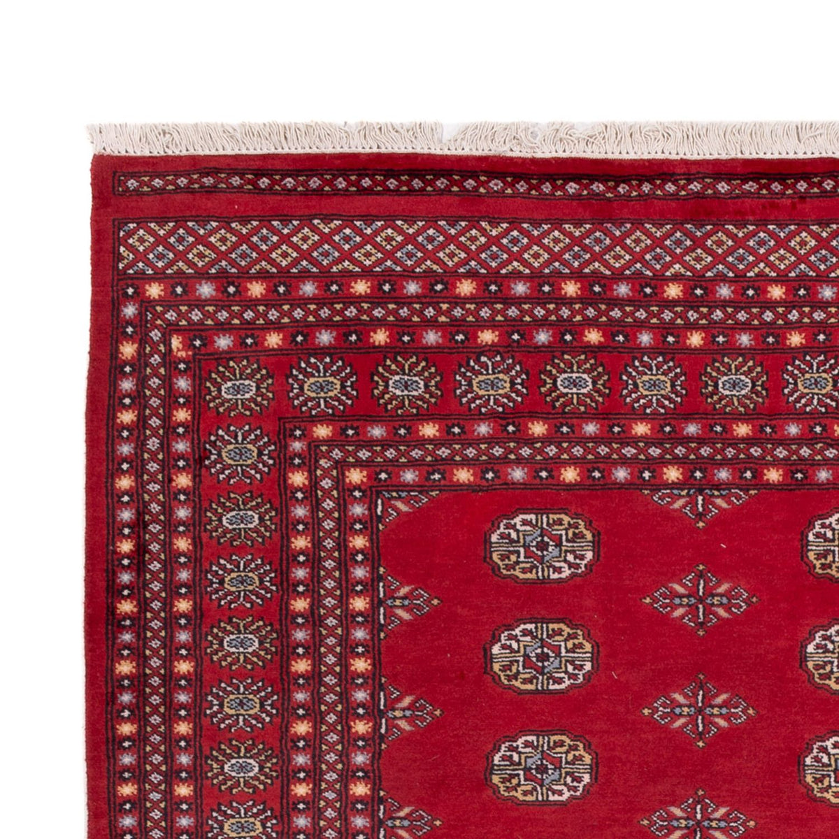 Afghaans tapijt - Bukhara - 300 x 201 cm - rood