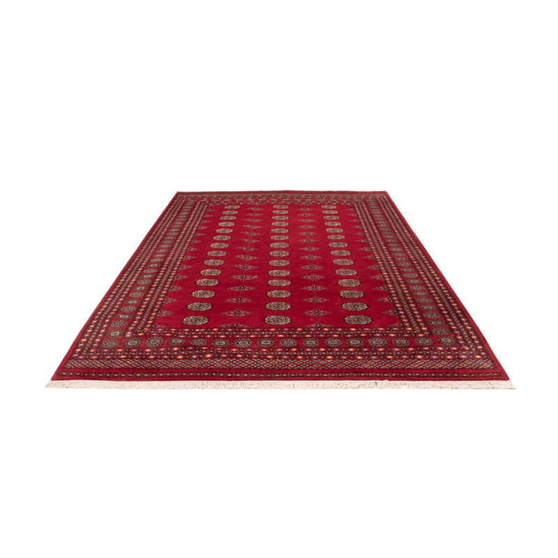 Afghaans tapijt - Bukhara - 300 x 201 cm - rood