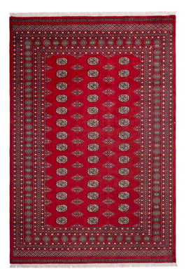 Afghaans tapijt - Bukhara - 302 x 200 cm - rood