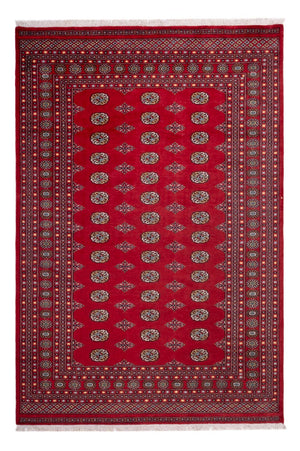 Afghaans tapijt - Bukhara - 302 x 200 cm - rood