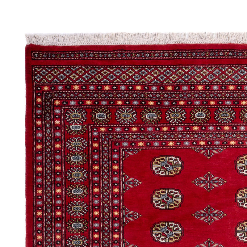Afghaans tapijt - Bukhara - 302 x 200 cm - rood