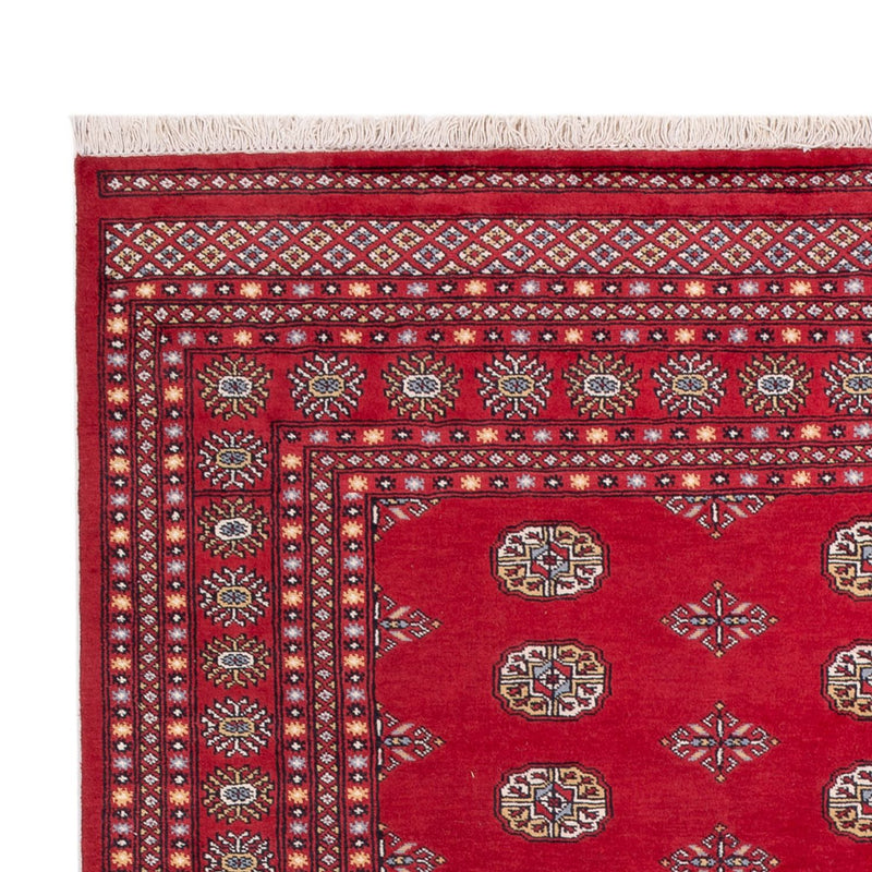 Afghaans tapijt - Bukhara - 316 x 203 cm - rood