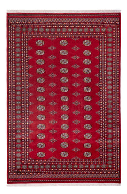 Afghaans tapijt - Bukhara - 294 x 198 cm - rood