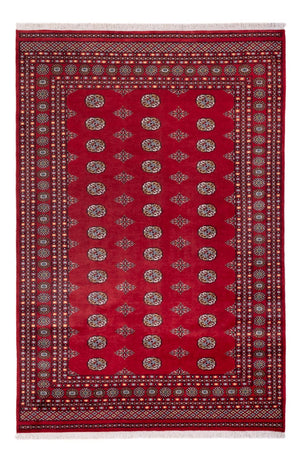 Afghaans tapijt - Bukhara - 294 x 198 cm - rood