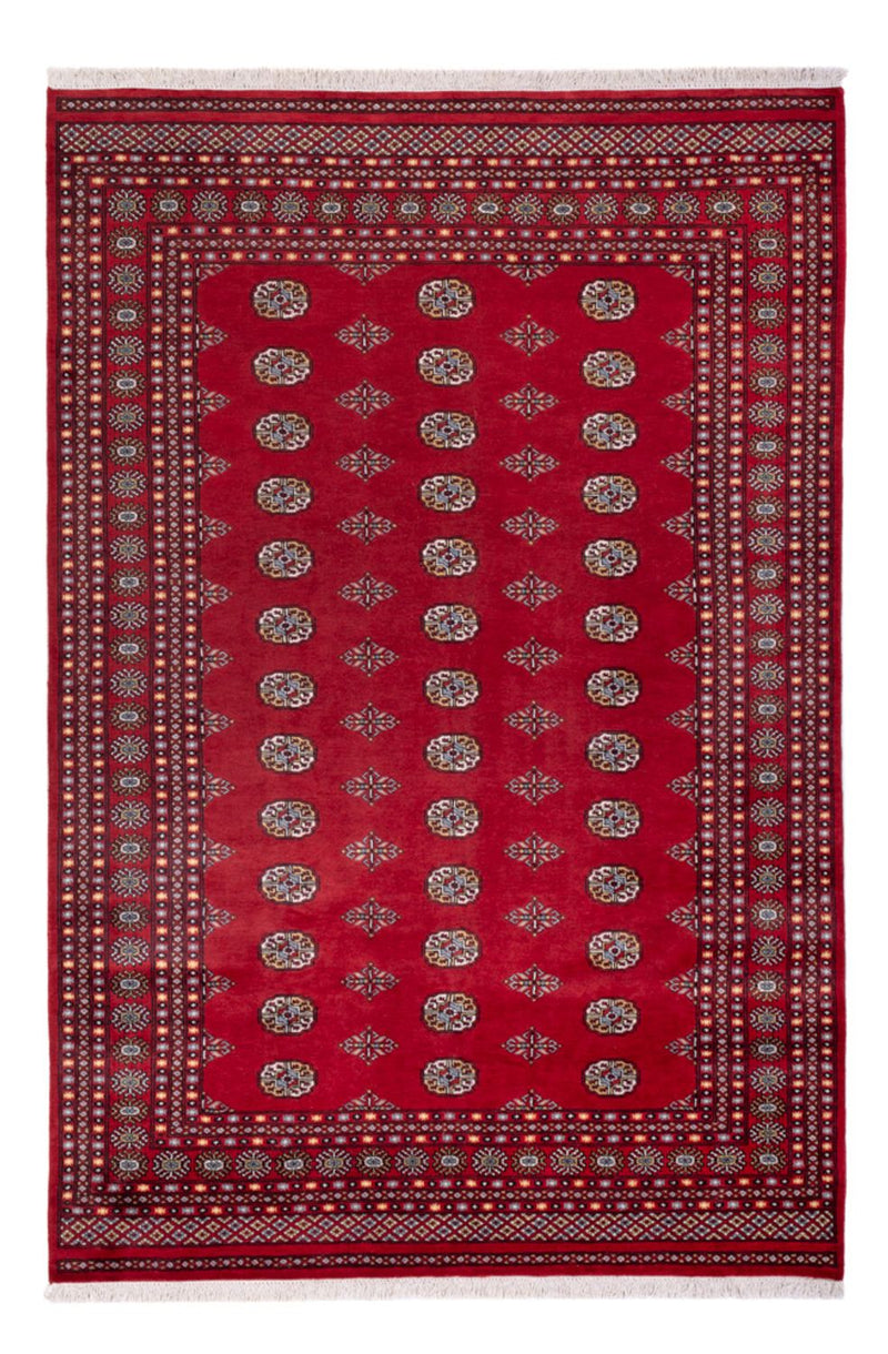 Afghaans tapijt - Bukhara - 294 x 198 cm - rood