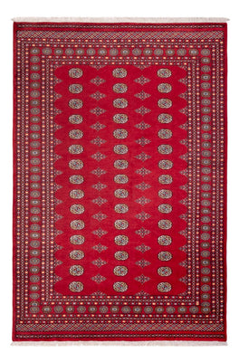 Afghaans tapijt - Bukhara - 304 x 206 cm - rood