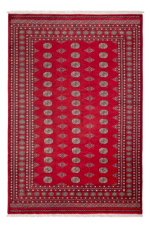 Afghaans tapijt - Bukhara - 304 x 206 cm - rood