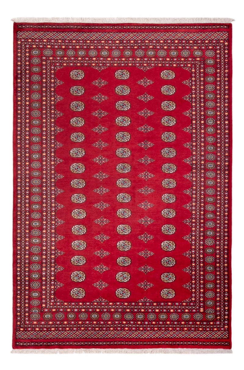 Afghaans tapijt - Bukhara - 304 x 206 cm - rood