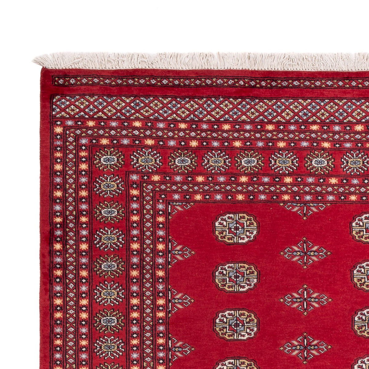 Afghaans tapijt - Bukhara - 304 x 206 cm - rood