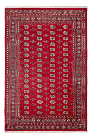 Afghaans tapijt - Bukhara - 313 x 207 cm - rood