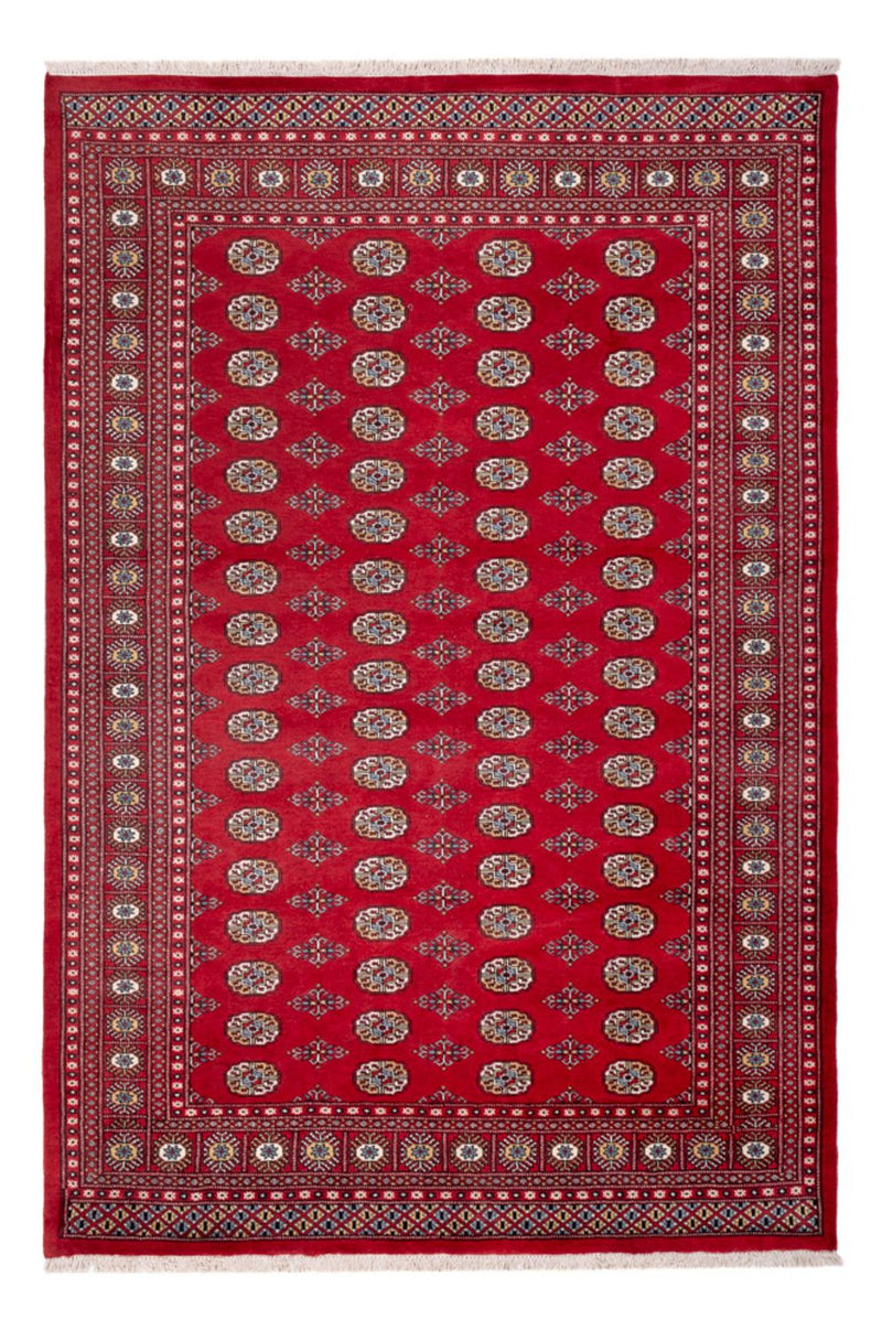 Afghaans tapijt - Bukhara - 313 x 207 cm - rood