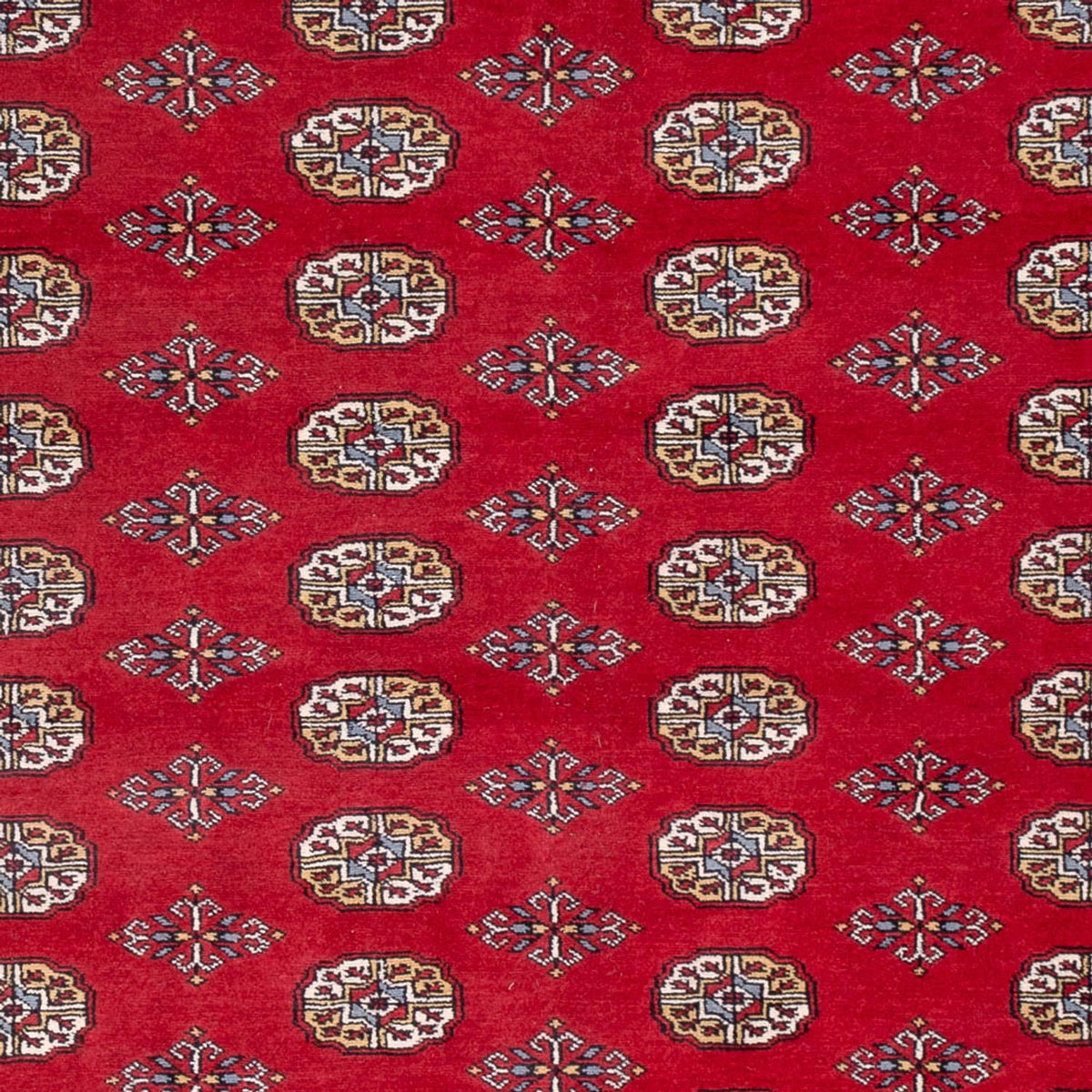 Afghaans tapijt - Bukhara - 313 x 207 cm - rood
