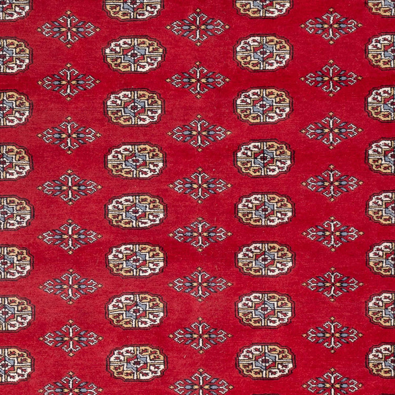 Afghaans tapijt - Bukhara - 313 x 207 cm - rood