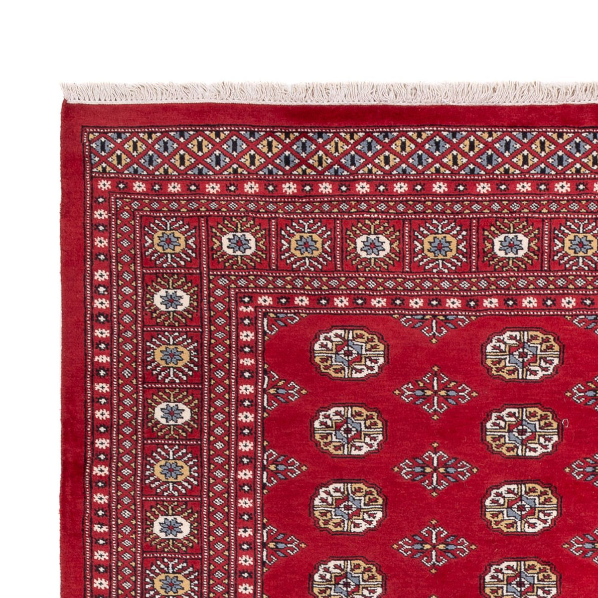 Afghaans tapijt - Bukhara - 313 x 207 cm - rood