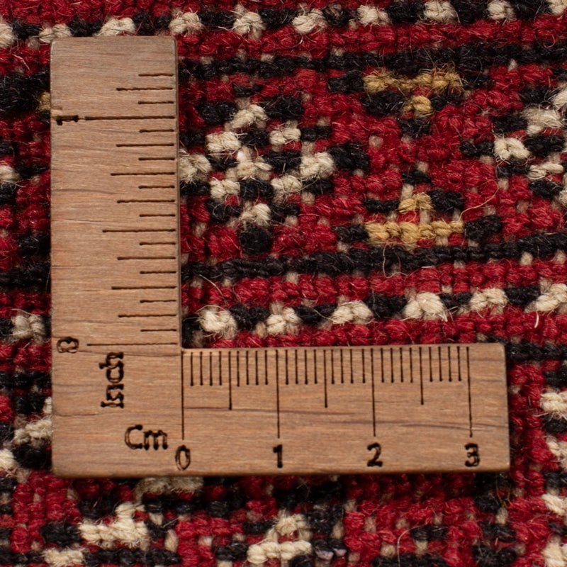 Afghaans tapijt - Bukhara - 313 x 207 cm - rood