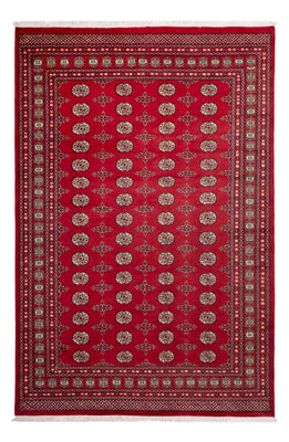 Afghaans tapijt - Bukhara - 318 x 210 cm - rood