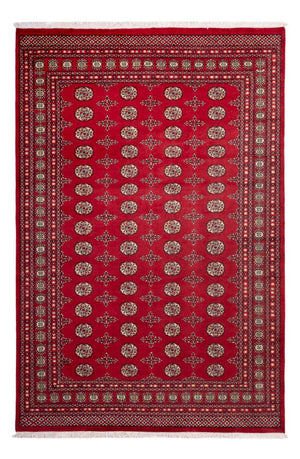 Afghaans tapijt - Bukhara - 318 x 210 cm - rood