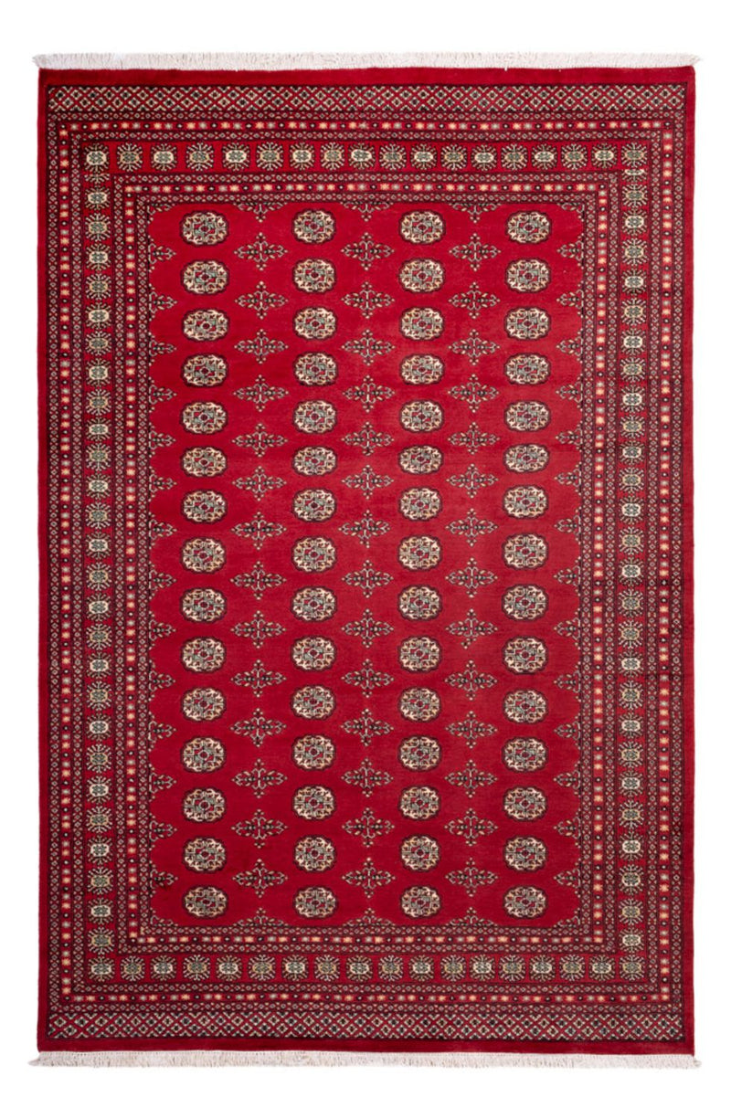 Afghaans tapijt - Bukhara - 318 x 210 cm - rood