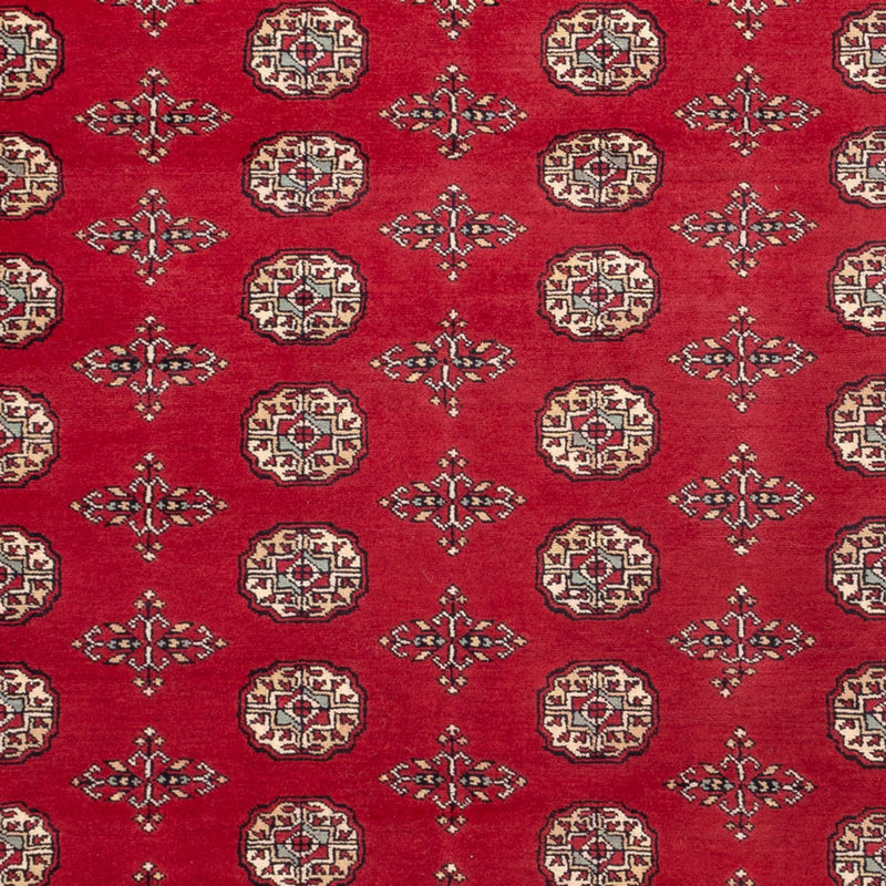 Afghaans tapijt - Bukhara - 318 x 210 cm - rood