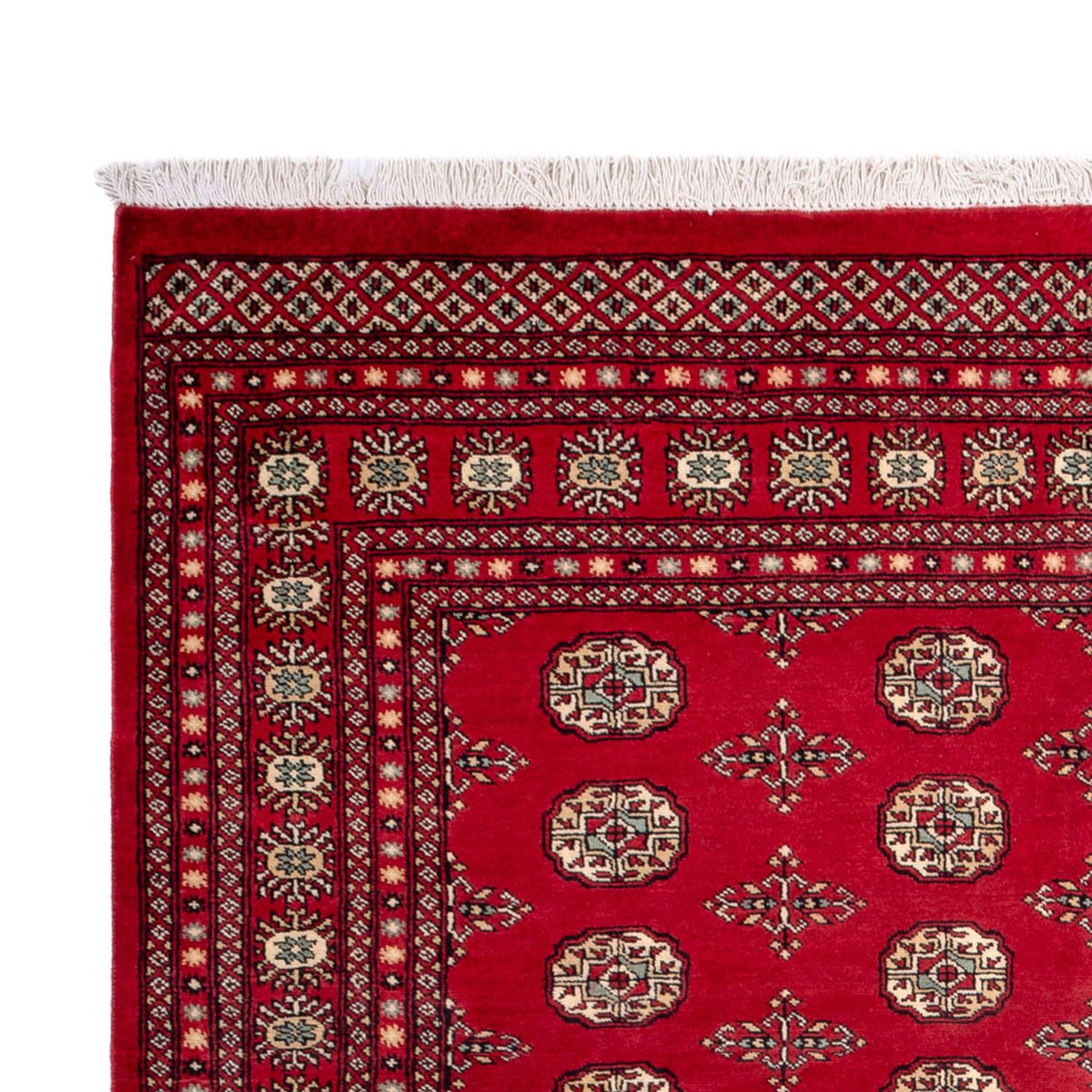 Afghaans tapijt - Bukhara - 318 x 210 cm - rood