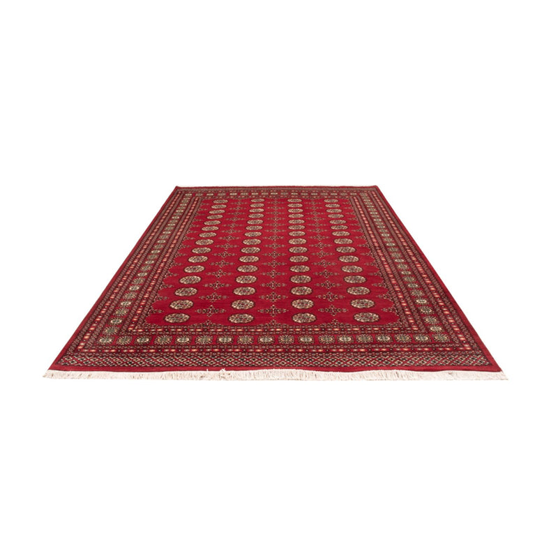 Afghaans tapijt - Bukhara - 318 x 210 cm - rood