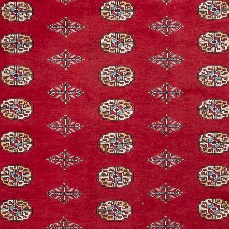 Afghaans tapijt - Bukhara - 308 x 207 cm - rood