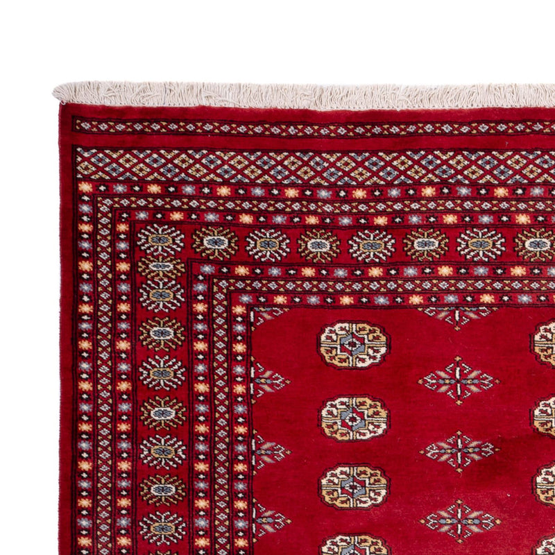 Afghaans tapijt - Bukhara - 308 x 207 cm - rood